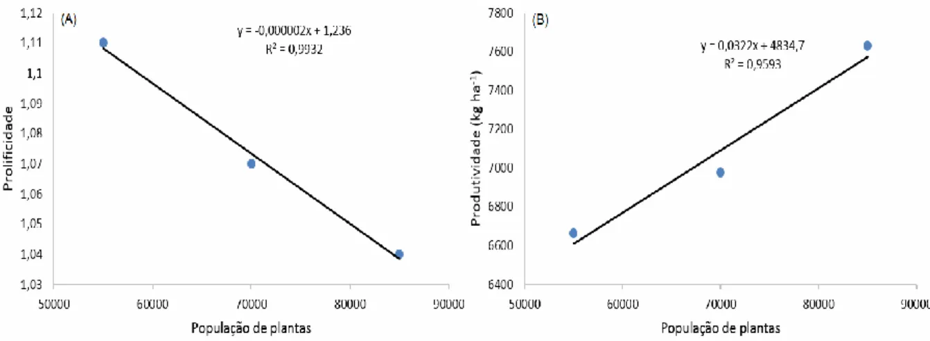 FIGURA 2. Representação gráfica das equações de regressão para a prolificidade (A) e produtividade de grãos  (B) em função da densidade de plantas