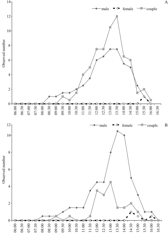 Fig 16 Oviposition activity of Argia insipida on leaves and branches of Tonina ﬂ  uviatilis at a site in Presidente Figueiredo  municipality, Amazonas state