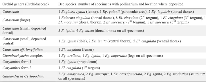 Table 5 Fifty pollinariums recorded for 48 specimens (2.3% of all specimens caught) of twelve species of euglossine  bees