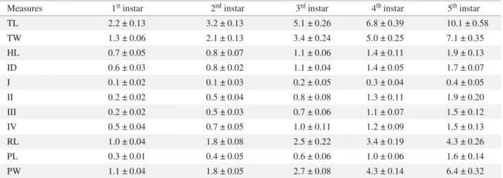 Table 1 Morphometric traits of Chinavia longicorialis nymphs (n = 15) (mean ± standard deviation, mm).