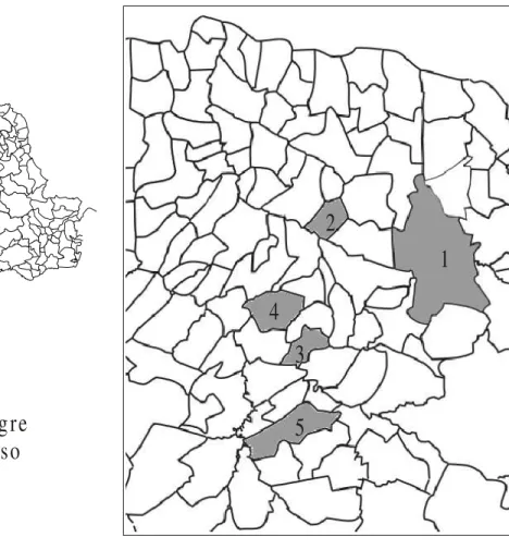 Figura 1: Municípios de áreas endêmicas de leishmaniose tegumentar americana, onde foram feitas as coletas de flebotomíneos, no norte do Estado do Paraná, Brasil, 2001 e 2002.