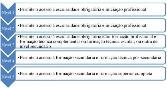 Figura 3 - Níveis da formação profissional  Fonte: Elaboração Própria 20