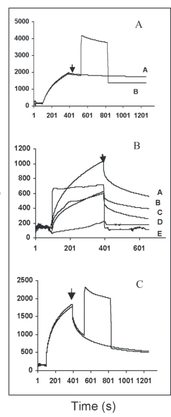 Figure 4. Kinetic interaction measured in real time of immo- immo-bilized CFL with the different protein fractions