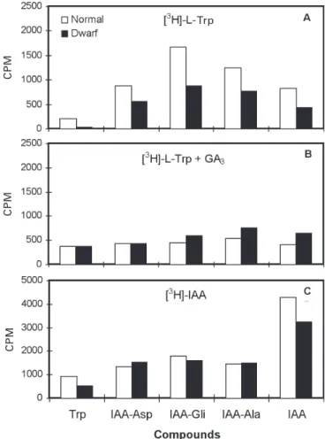 Figure  3.  Radioactivity  distribution  in  HPLC  methanolic extracts, from  rhizomes  of ‘Grand  Naine’ banana  plants after 5 d of incubation with (A) MS + 5 µCi mL -1  [ 3-  H]-L-tryptophan, (B) MS + 5 µCi.mL -1  [ 3- H]-L-tryptophan + 75 µM GA 3  and 