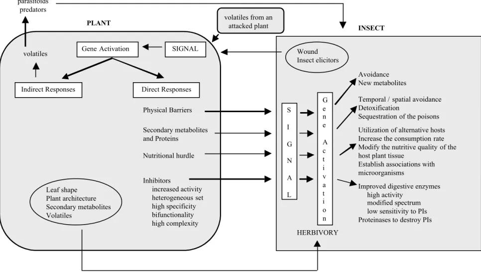 Figure 1. Interactions between plants and insects.