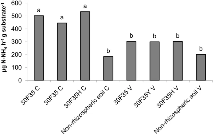 FIGURE 1. Urease activity (μg N-NH 4 +  h -1  g -1  substrate) in rhizosphere soil of non-transgenic maize hybrid  30F35 and its Bt isolines 30F35YC and 30F35HC expressing the Cry1Ab and Cry1F proteins of B