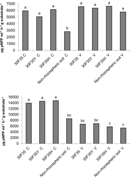 FIGURE 3. Alkaline phosphatase activity (A) and acid phosphatase (B) (μg pNPP ml -1  h -1  g -1  substrate) in  rhizosphere soil of non-transgenic maize hybrid 30F35 and its Bt isolines 30F35YC and 30F35HC expressing  the Cry1Ab and Cry1F proteins of B