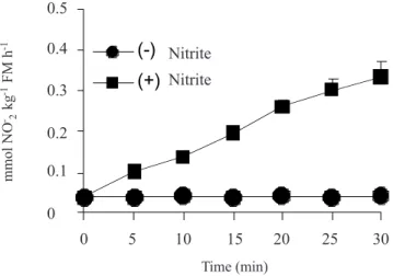Figure 1 shows that in vitro NR activity measured in crude leaf extract exposed to 25 mmol.L -1  NO 3 -  in  ab-sence of NO 2 -  continued unchanged at the indicated times.