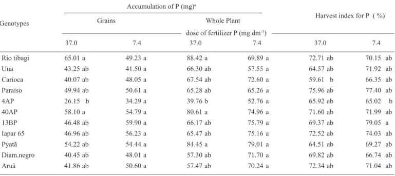 Table 1. Accumulation of phosphorus in grains and in whole plants (roots, leaves, stems, pods and grains) and harvest index for P in bean genotypes grown under two doses of P fertilization