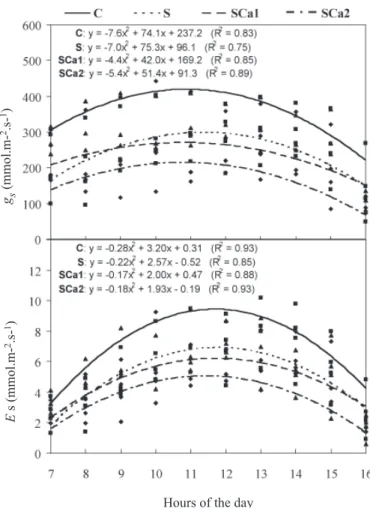 Table 2. Water potential (Ψ w ), total water transpired (WT), transpiration ratio (TR) and leaf succulence (LFM/LA) of cowpea plants grown in nutrient solution (C), in nutrient solution containing 75 mmol.L -1  NaCl (S), and in nutrient solution containing