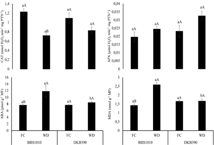 FIGURE 1. Activity of antioxidant enzymes catalase (CAT) and ascorbate peroxidase (APX), and levels  of abscisic acid content (ABA) and malondialdehyde (MDA) in leaves of maize genotypes with contrasting  drought tolerance (BRS1010-sensitive and DKB390-tol