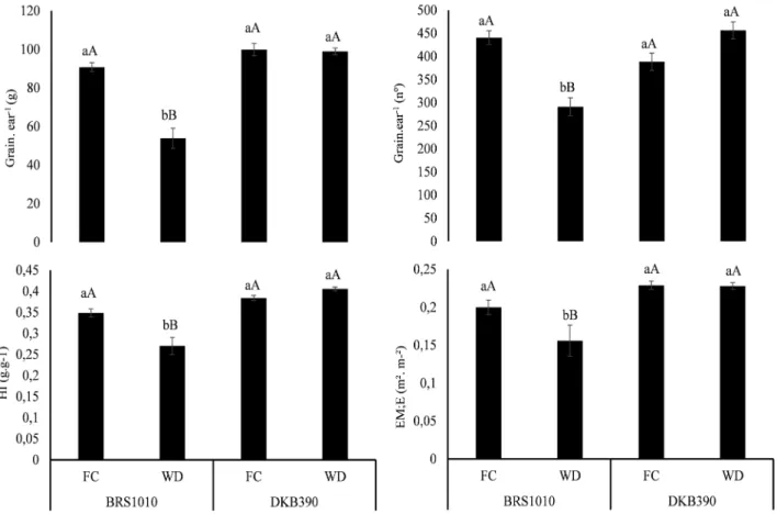 FIGURE 3. Agronomic performance in maize genotypes with contrasting drought tolerance (BRS1010- (BRS1010-sensitive and DKB390-tolerant), cultivated under two different soil water levels (FC-field capacity and  WD-water deficit)