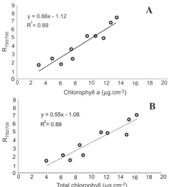 Figure  2.  Mean  ratio  of  linear  relationships  R 750/550   to chlorophyll  a  (A)  and  total  chlorophyll  (B)  content (significant values at 5% probability level).