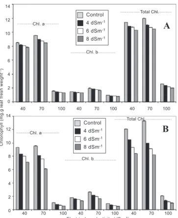 Figure 4. Effect of different levels of salinity on the chlorophyll a and  b, and total chlorophyll content (mg.g leaf fresh weight -1 ) of the tolerant CSG 9651 (A) and sensitive BG 267 kabuli cultivars of chickpea