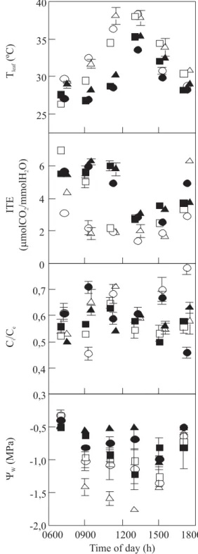Figure 5. Leaf temperature (T leaf ), instantaneous transpiration efficiency (ITE), intercellular-to-external CO 2  concentration ratio (C i /C e ), and leaf water potential (Ψ w ) in three Coffea arabica cultivars grafted onto C