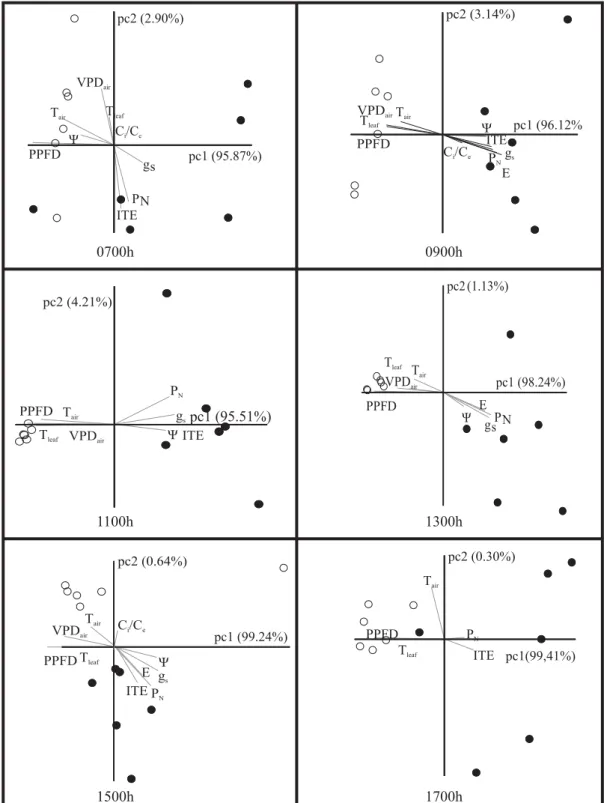 Figure 6. Principal component analysis of leaf gas exchange and leaf water potential (Ψ w ) obtained during diurnal courses in three Coffea arabica cultivars