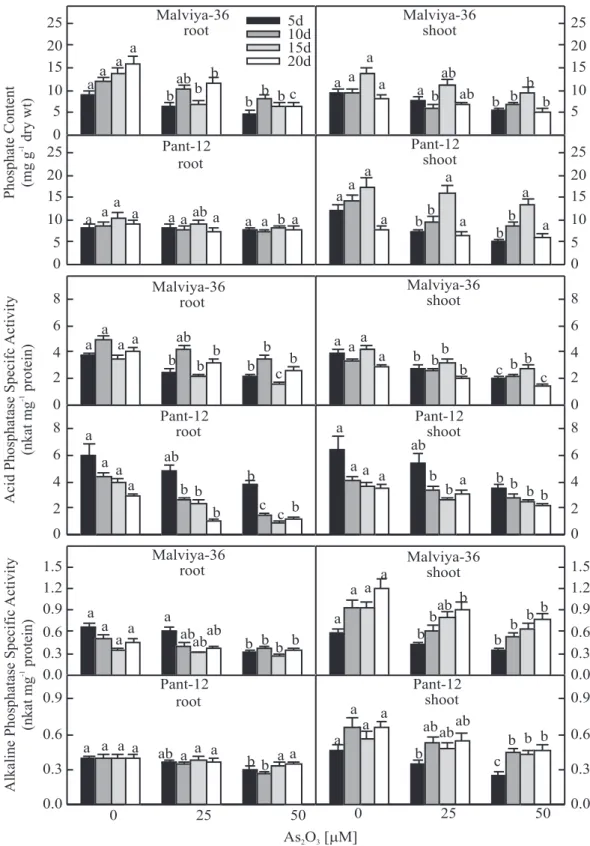 Figure 1. Phosphate content, acid and alkaline phosphatase specific activities in roots and shoots of seedlings of rice cvs