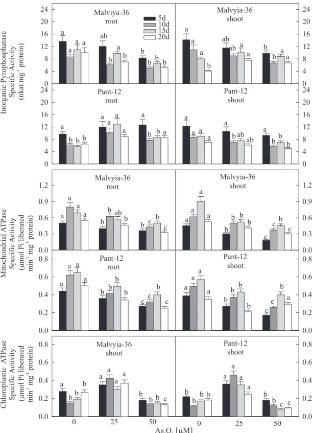 Figure 2. Inorganic pyrophosphatase and mitochondrial as well as chloroplastic adenosine triphosphatase specific activities in roots and shoots of seedlings of rice cvs