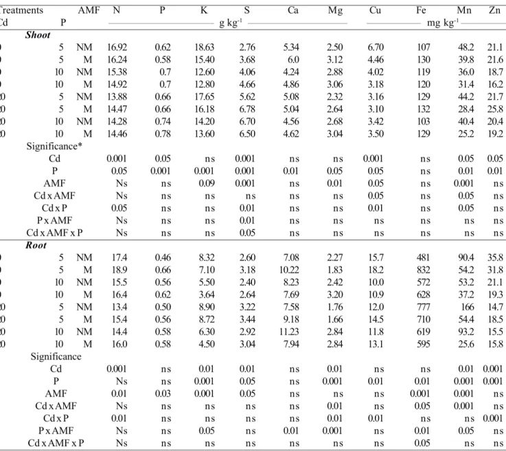 Table 3. Shoot and root nutrient concentrations of mycorrhizal (M) and non-mycorrhizal (NM) maize plants treated with 0 and 20 µmol Cd L -1  at two (5 and 10 mg L -1 ) P concentrations in the nutrient solution (* F test, ns = non-significant).