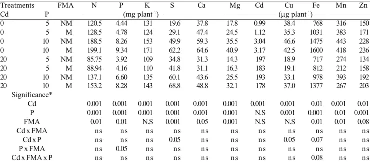 Table 4. Shoot nutrients contents (concentration x dry mass) of mycorrhizal (M) and non-mycorrhizal (NM) maize plants treated with 0 and 20 µmol Cd L -1  at two (5 and 10 mg L -1 ) P concentrations in the nutrient solution