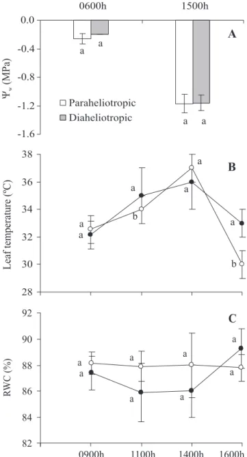 Figure 7. Predawn and midday leaf water potential (A), and daily variations in the temperature (B) and relative water content (C) of para- ( ° ) and dia- ( z ) heliotropic leaves of S