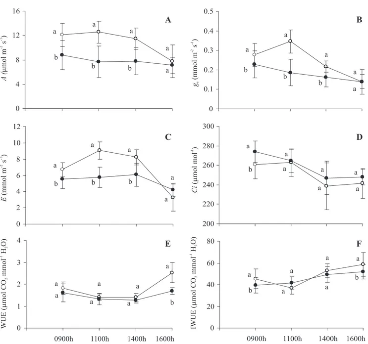 Figure 3. Daily variations in CO 2  assimilation (A), stomatal conductance (B), transpiration rates (C), intercellular CO 2 (D), water-use efficiency (A/E) (E) and intrinsic water-use efficiency (A/g s ) (F) of para- ( ° ) and dia- ( z ) heliotropic leaves