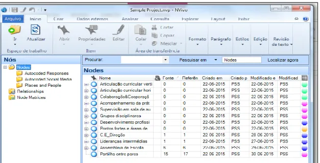 Figura 3 - Definição dos Domínios de Análise no NVivo10  