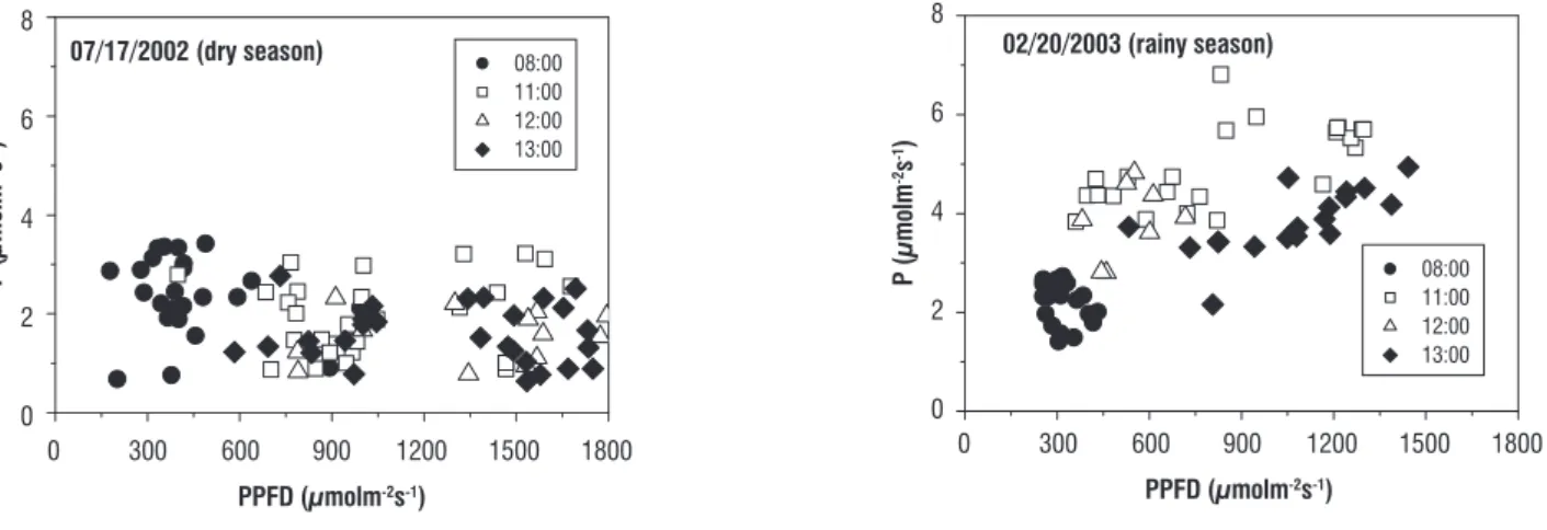 Figure 5 shows P during sunflecks on shaded plants at  08:00, 11:00, 12:00 and 13:00 hs during the daily course  in dry and rainy periods