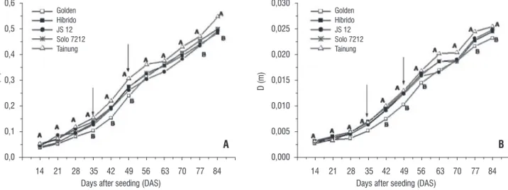 figure 3. Height (H) and shrunk diameter (D) increase of leaves from Carica papaya L. plants in function of time