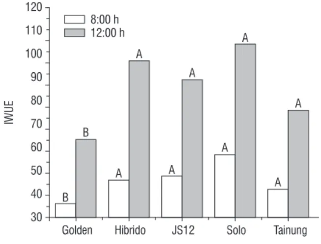 figure 12. Daily carbon gain (A daily ) for the 5 genotypes of Carica papaya L. 