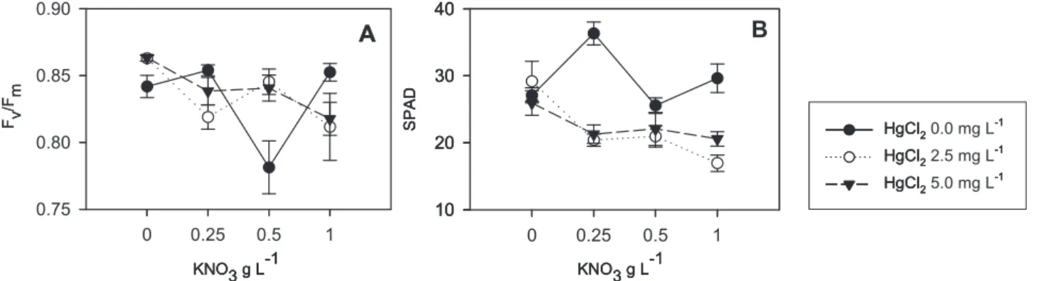 figure 1. Response of F v /F m  (A) and SPAD (B) to the combined effect of HgCl 2  and KNO 3 