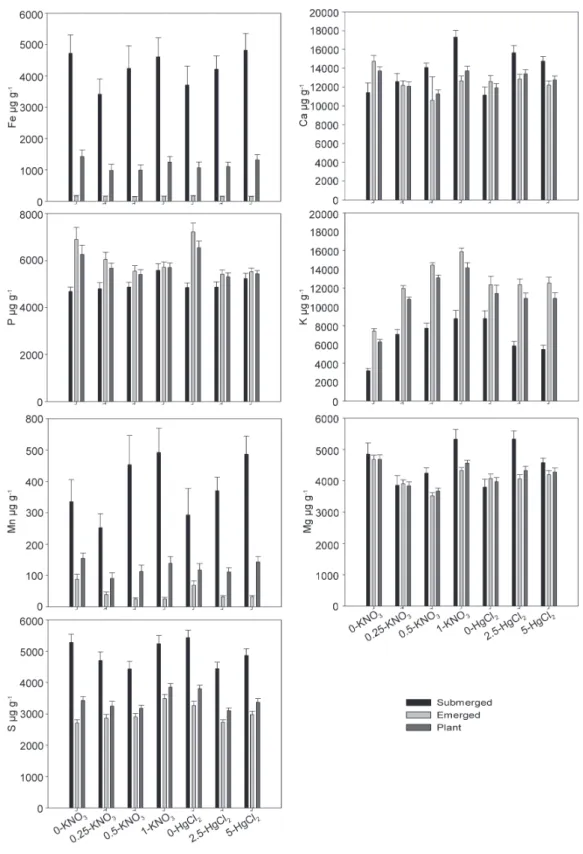 figure 2. Effect of HgCl 2  and KNO 3  on the element composition of plants e .