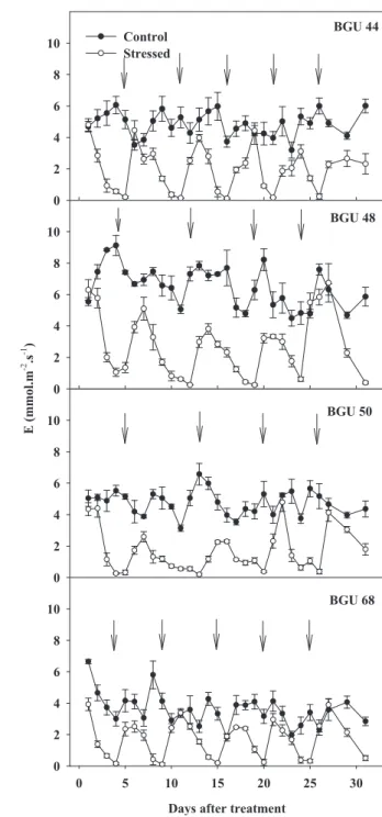 table 1. Transpiration rates (E) and diffusive resistance (r s ) of four grafted  umbu  tree  genotypes  grown  in  greenhouse  conditions  under  intermittent  drought