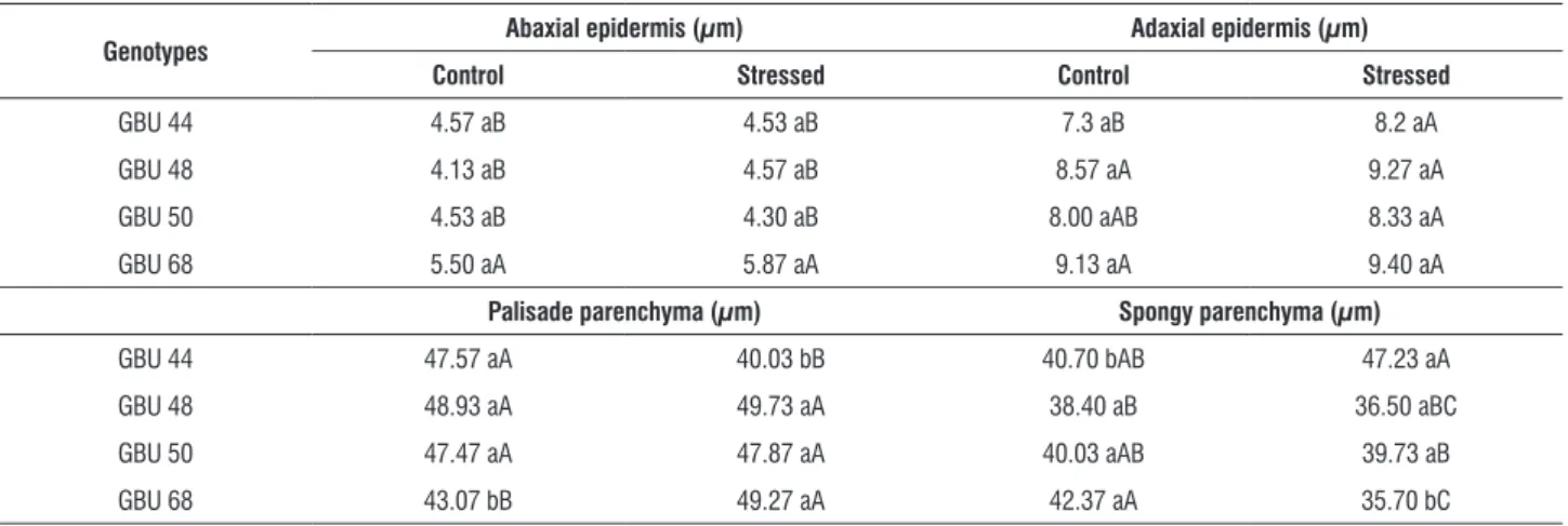 table 4. Abaxial epidermis, adaxial epidermis, spongy parenchyma, and palisade parenchyma thickness (µm) of four umbu tree genotypes after 31 days grown  under intermittent drought.