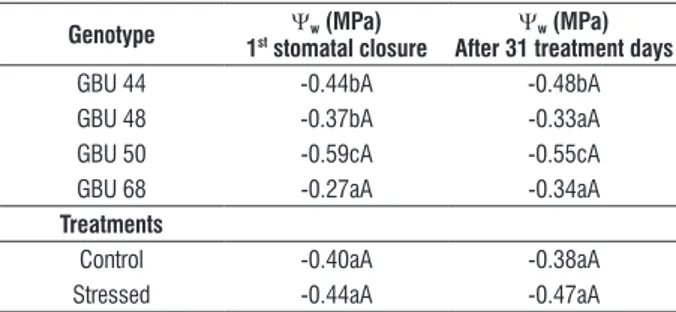 table  3.  Daily  average  of  leaf  water  potential  (Ψ w )  of  four  umbu  trees  genotypes grown in greenhouse conditions under intermittent drought