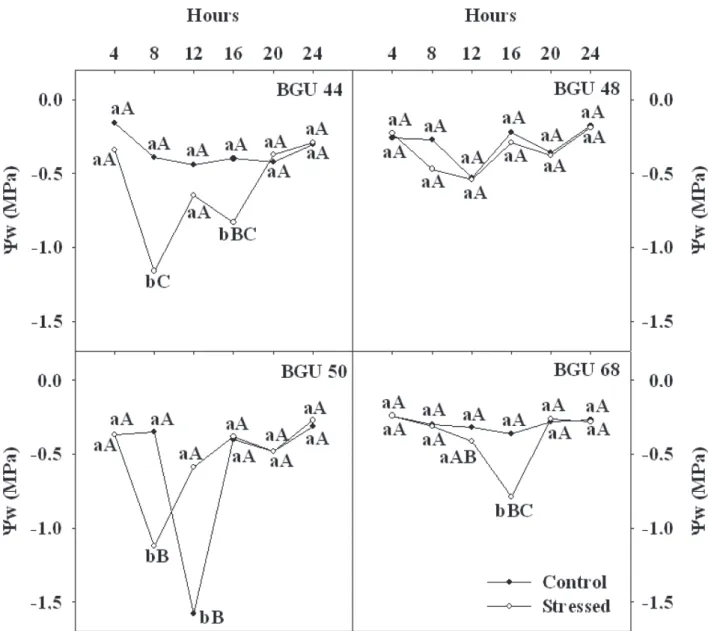 figure 3. Daily course of leaf water potential (Ψ w ) of four umbu tree genotypes growing in green house conditions after 31days under intermittent drought by  withholding water