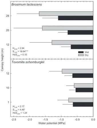 figure 1. Mean (+ SD) leaf water potential for Tovomita schomburgkii and  Brosimum lactescens during the wet season (black bars) and the dry season  (grey  bars)