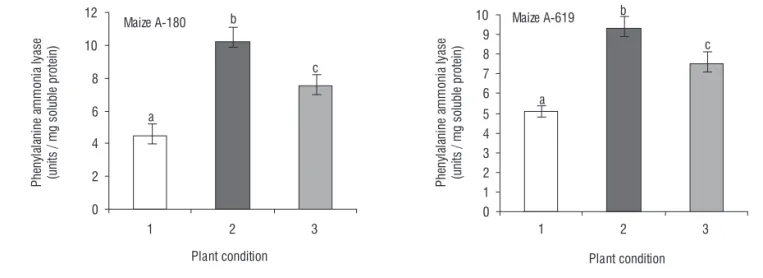 Figure 3. Assessment of the activity of phenylalanine ammonia lyase. Activation of propanoids biosynthetic pathway was assessed in terms of PAL activity analysis  in both inbreds as described in materials and methods section