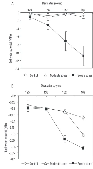 Figure 1. Changes in soil (A) and leaf water potential (B) of W. somnifera  plants under control and water stress conditions (the data represent mean ±  SD, n=7; p &lt; 0.05).