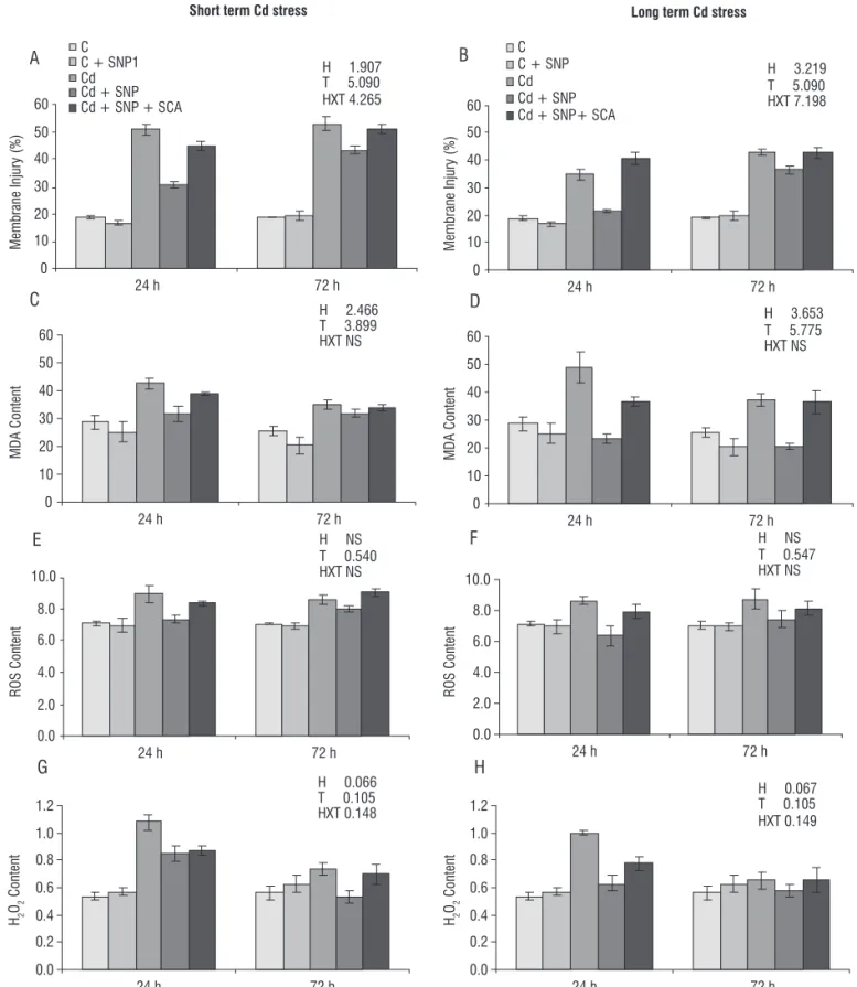 Figure 1. Effect of Cd (10 ppm) and NO donor (250 μM SNP) on the membrane injury (%, A - B), MDA content (μmol g -1  DW, C - D), total ROS content (μmol g -1  DW, E - F) and H 2 O 2  content (μmol g -1  DW, G - H) in chickpea leaves