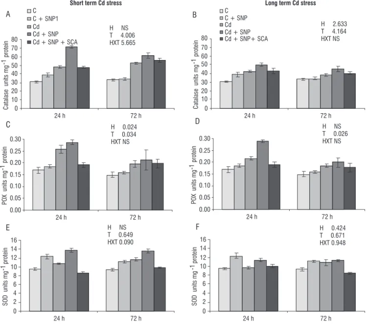 Figure 2. Effect of Cd (10 ppm) and NO donor (250 μM SNP) on catalase (A - B), peroxidase (C - D) and superoxide dismutase SOD (E - F) activity in chickpea  leaves