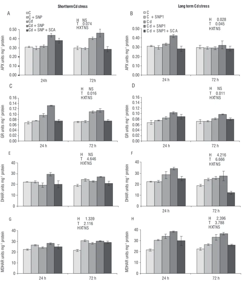 Figure 3. Effect of Cd (10 ppm) and NO donor (250 μM SNP) on APX (A - B), GR (C - D), DHAR (E - F) and MDHAR (G - H) activity in chickpea leaves