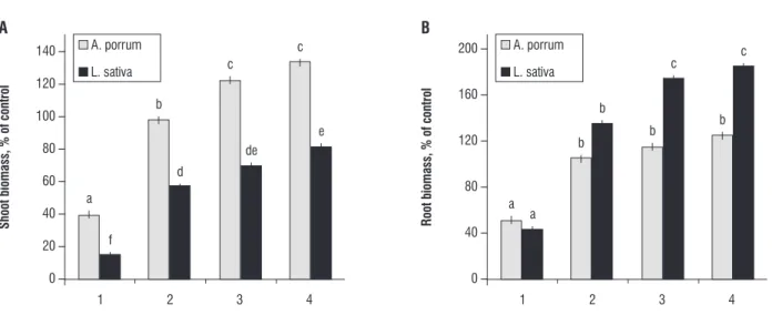 Figure 2. Comparison of growth of Lactuca sativa and Allium porrum shoot (2A) and root (2B) on different culture media: (1) MS medium without inorganic nitrogen,  (2) MS medium without inorganic nitrogen, but with 0.01% casein, (3) MS medium without inorga