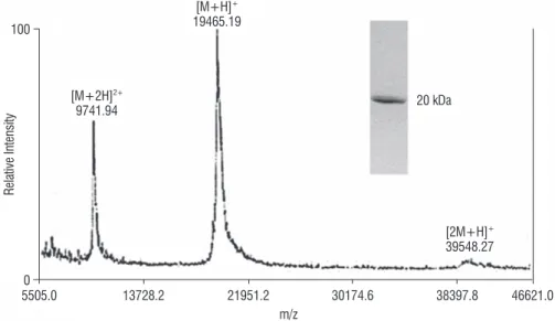 figure 2. MALDI-TOF MS analysis performed on peak VIII sample (pure ICTI) resulted in a molecular mass value ([M+H] + ) value of 19,465.19, a [M+2H] 2+  of  9,741.94, and a [2M+H] +  of 39,548.27