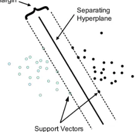 Figure 2.3: Example of a SVM. Figure adapted from Aha et al. (1991).