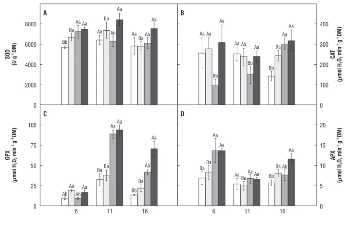 figure 5. Total SOD, CAT, GPX, and APX activity in maize leaves. Additional details as in Figure 4.