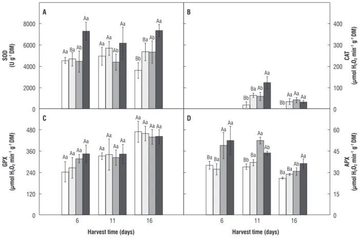 figure 6. Total SOD, CAT, GPX, and APX activity in maize roots. Additional details as in Figure 4.