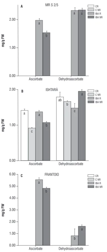 figure 1. Quantification of ascorbate and dehydroascorbate levels in rooted  and  non-rooted  cuttings  of  (a)  peach  rootstocks  (mrs  2/5),  (b)  plum  (ishtarà) and (c) olive tree (Frantoio)