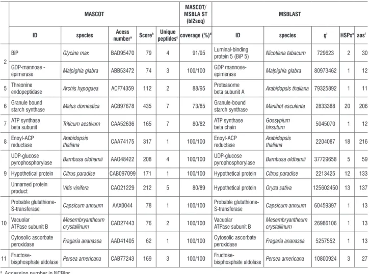 table 1. List of identified proteins with differential expression during seed development in O