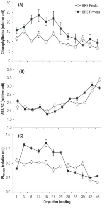 figure  1.  Chlorophyll  content  (A)  estimated  by  portable  chlorophyll  meter  and express such as “chlorophyll index”, size of antenna complexes of PSII  (ABS/RC)  (B),  and  total  performance  index  (PI ABS,Total ) (C)  during  flag  leaf  senesce